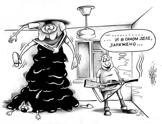 анекдот про шарика на охоте