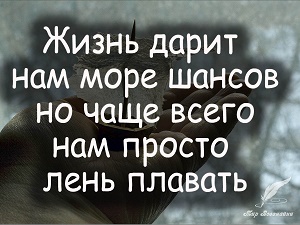 цитаты о жизни