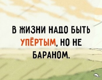 Подробнее о статье Пословицы и поговорки про барана