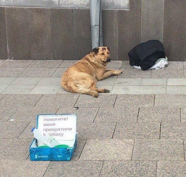 свежий фото прикол