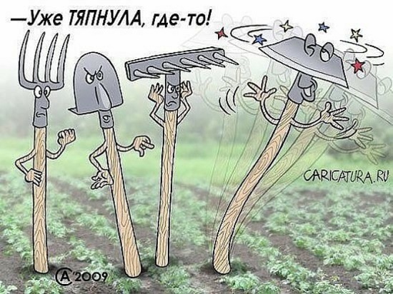 карикатура сегодняшнего дня