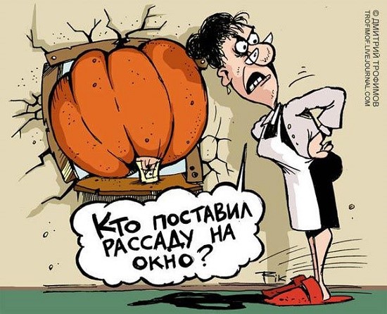 лучшая карикатура