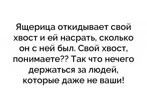 Подробнее о статье Смешные до слез шутки