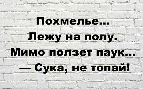 Подробнее о статье Очень смешные короткие шутки