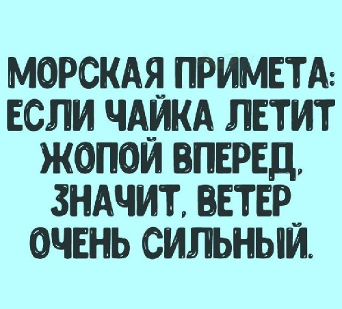 Подробнее о статье Прикольные до слез шутки