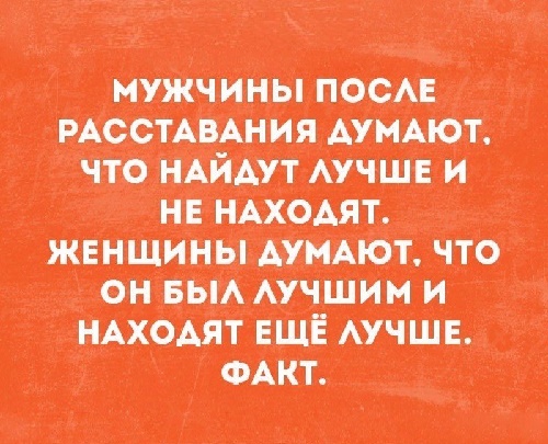 Подробнее о статье Смешные до слез бесплатные шутки