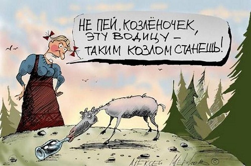 анекдот про алкоголь в картинке