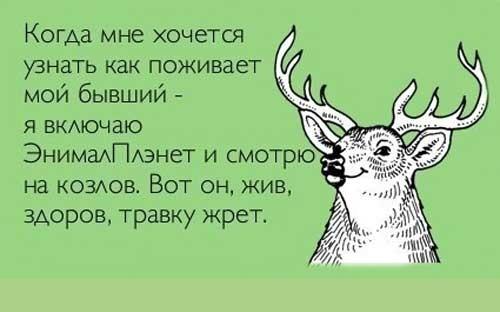 Подробнее о статье Прикольные статусы про бывшего