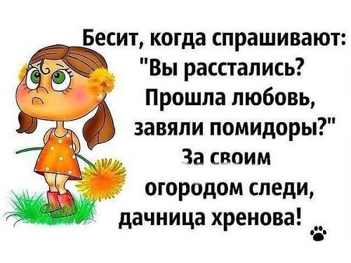 прикольные статусы про любовь