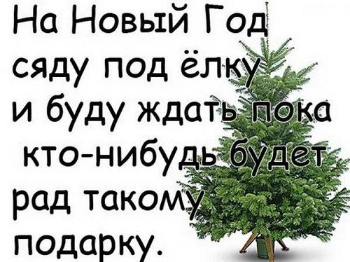 Подробнее о статье Прикольные статусы про Новый год