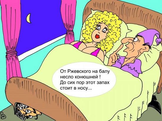 карикатура про наташу