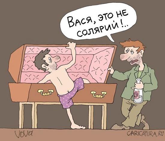 Подробнее о статье Карикатуры про Васю