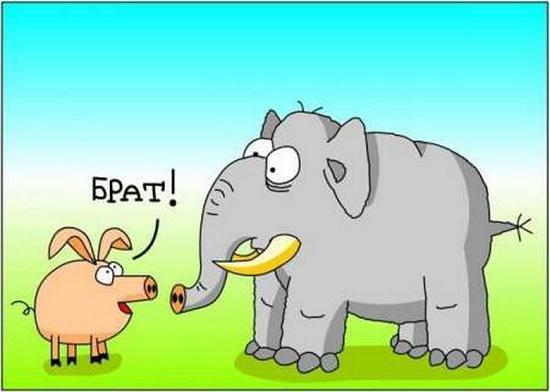 карикатура про животных