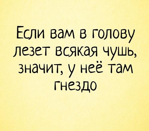 Подробнее о статье Самые смешные статусы