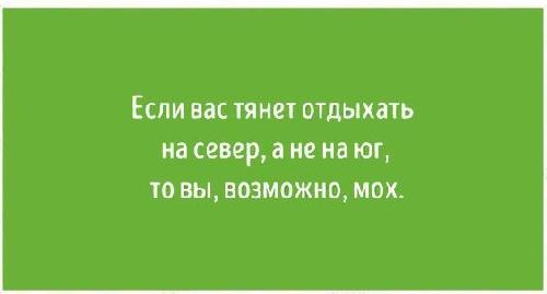 Подробнее о статье Смешные до слез фразы из жизни