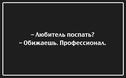 Подробнее о статье Смешные до слез фразы на различные темы