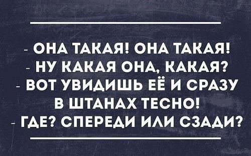 Подробнее о статье Смешные до слез фразы на разные темы