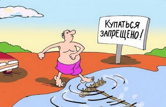 Подробнее о статье Смотреть прикольные карикатуры