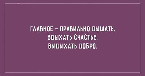 Подробнее о статье Читать остроумные короткие фразы