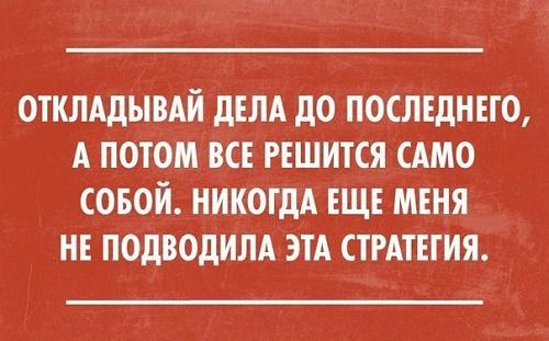 Подробнее о статье Читать прикольные фразы