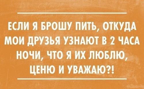 Подробнее о статье Читать прикольные и убойные фразы