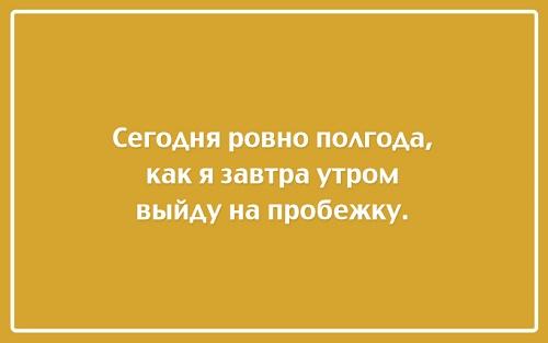 Подробнее о статье Читать прикольные и улетные фразы