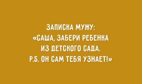 Подробнее о статье Читать смешные до слез короткие фразы