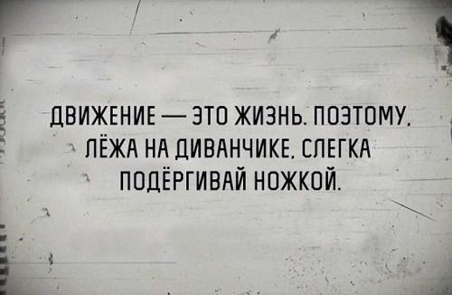 Подробнее о статье Читать смешные фразы обо всем