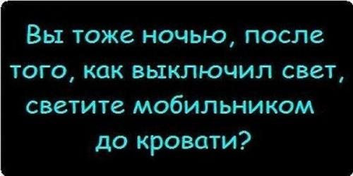 Подробнее о статье Читать смешные и прикольные фразы