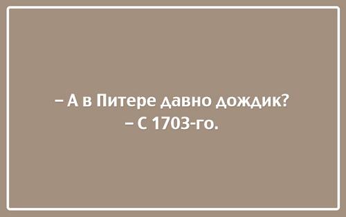 Подробнее о статье Читать смешные и убойные фразы