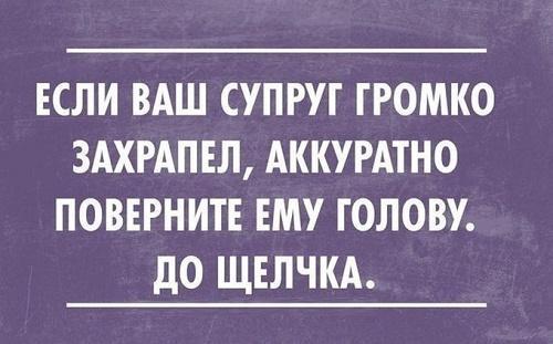 Подробнее о статье Читать улетные короткие фразы