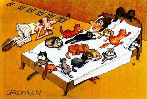 карикатура про котов