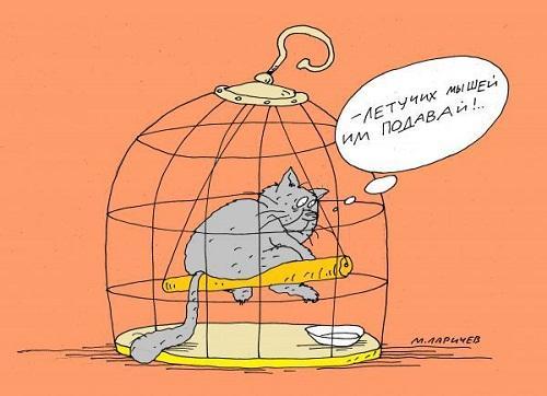 карикатура про котов