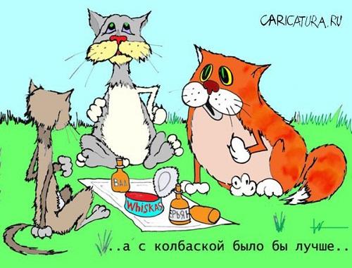 карикатура про котов