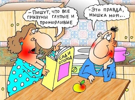 прикольная карикатура про мужа