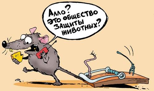 смешная карикатура про животных