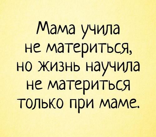 Подробнее о статье Смешные до слез статусы на разные темы