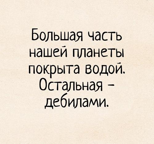 Подробнее о статье Смешные до слез статусы обо всем