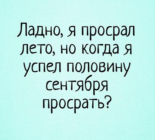 Подробнее о статье Смешные статусы обо всем