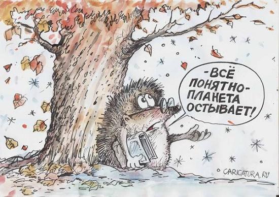 смотреть забавную карикатуру