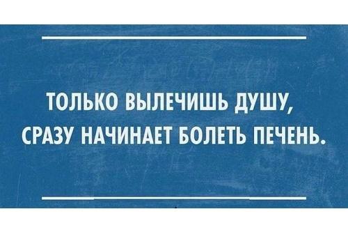 Подробнее о статье Очень смешные фразы для людей