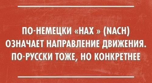 Подробнее о статье Очень смешные фразы на все случаи