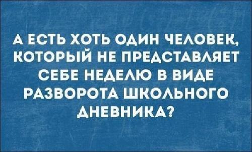 очень смешные фразы обо всем на свете