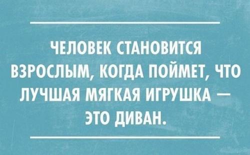 Подробнее о статье Остроумные фразы о жизни