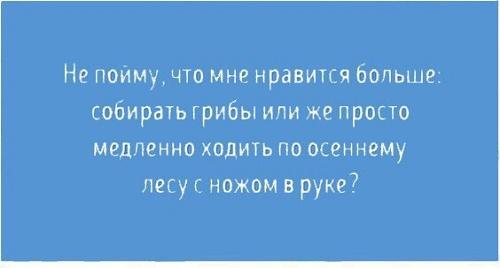 Подробнее о статье Прикольные фразы на все случаи жизни