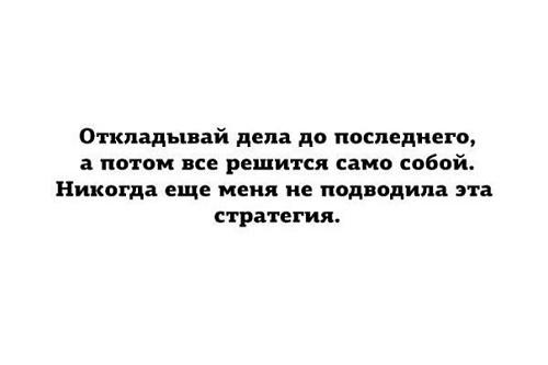 прикольные фразы обо всем на свете