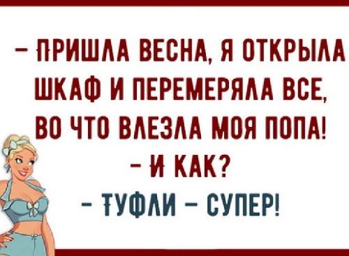 Подробнее о статье Прикольные статусы про диету