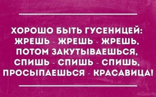 Подробнее о статье Самые смешные фразы на все случаи