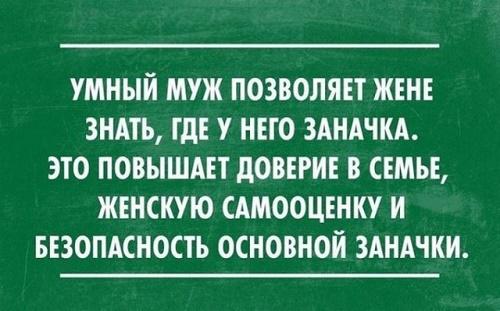 Подробнее о статье Самые смешные фразы обо всем на свете