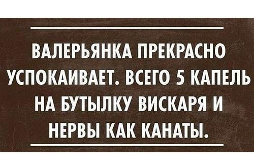 Подробнее о статье Смешные до слез фразы людей